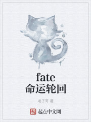 fate命运轮回