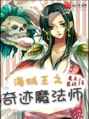 海贼王之奇迹魔法师