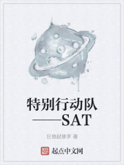 特别行动队——SAT